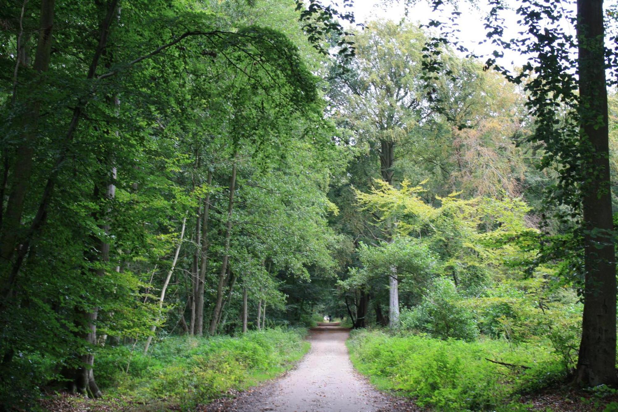 Fewo Kaeuzchen - Ulenhoef Prerow Exterior foto
